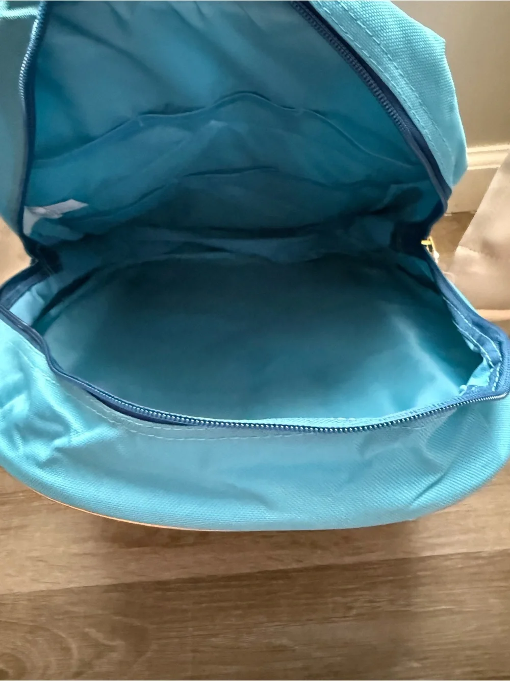 Disney Frozen II Backpack in Aqua Blue with Elsa & Anna Tag
